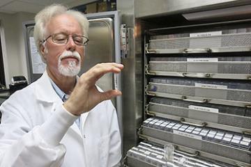 Curator David Labeda holds a specimen.