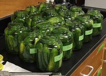 Jars of pickles