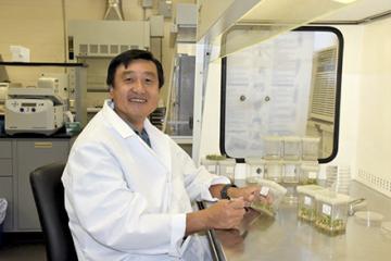 A scientist working at a lab bench