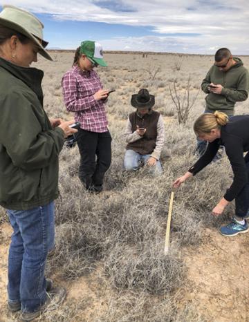 Five people on rangeland looking at an app on their mobile devices