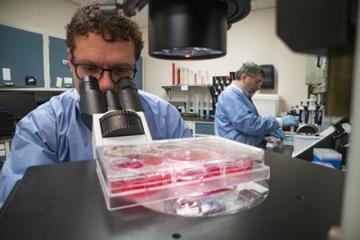 Scientist looking through a microscope while another scientist prepares samples.