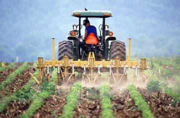 Farm manager driving tractor in soybean field.