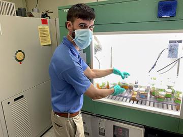 Mark Sperry checking the performance of lettuce plants