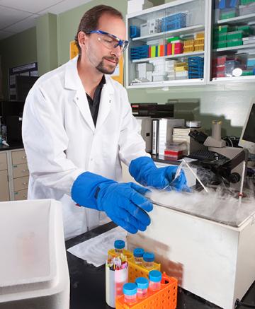 ARS animal technician thaws an animal germplasm sample for evaluation.