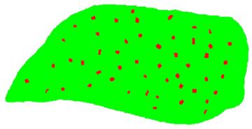 Hyperspectral imagery shows the foreign materials on the same chicken breast.