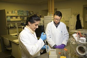 Two scientists examining vitamin K from a food sample.