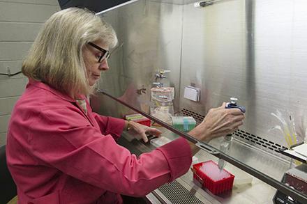 A scientist working with laboratory equipment