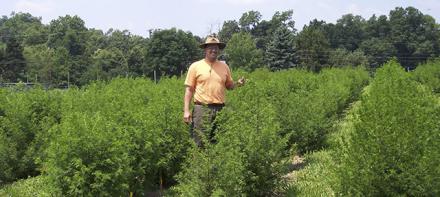 Jorge Ferreira in a field of Artemisia plants