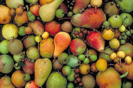 Pears, various sizes and color.