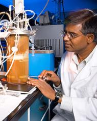 Nasib Qureshi working with a fermenter. 