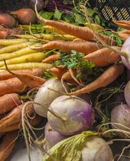 Yellow and orange carrots, beets, and sweet potatoes.