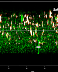 A three-dimensional axis frames a cluster of green points of varying heights, accented with a sprinkling of red and white spots dispersed throughout